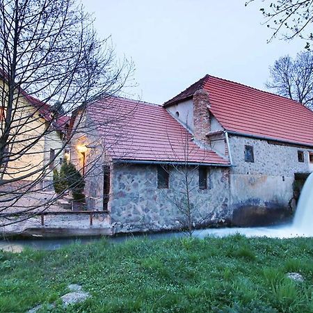 Moara De Piatra Hotel Carta  Exterior photo